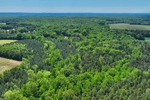 2822 Little River Church Rd, Hurdle Mills, NC 27541 - Photo 43