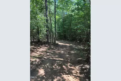2822 Little River Church Road, Hurdle Mills, NC 27541 - Photo 65