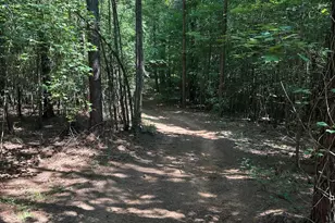 2822 Little River Church Rd, Hurdle Mills, NC 27541 - Photo 65