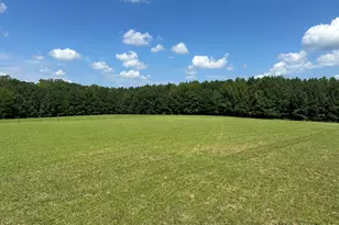 2822 Little River Church Rd, Hurdle Mills, NC 27541 - Photo 67