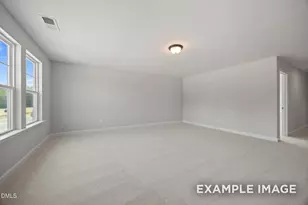 908 Diana Victoria Ct, Wendell, NC 27591 - Photo 33