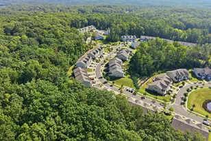 409 Great Eno Path, Hillsborough, NC 27278 - Photo 45