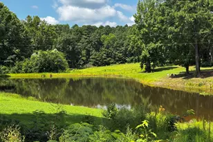 419 Snow Hill Rd, Warrenton, NC 27589 - Photo 1