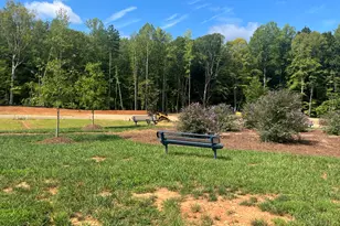 1333 Hammond Dr, Mebane, NC 27302 - Photo 21