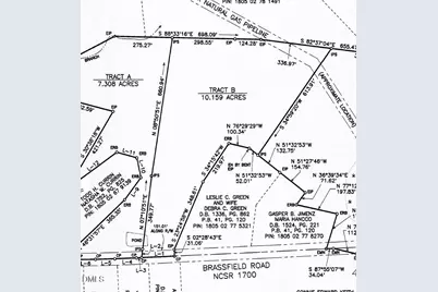 (Tract B) Brassfield Road, Creedmoor, NC 27522 - Photo 13