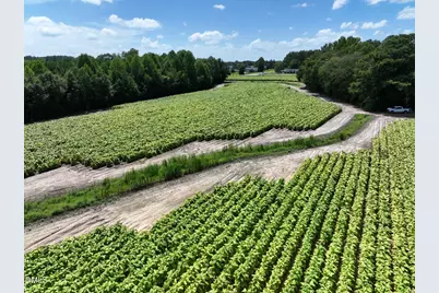 000 River Run Road, Selma, NC 27576 - Photo 17