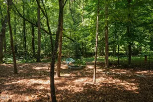 4305 Taylor Hall Pl, Chapel Hill, NC 27517 - Photo 53