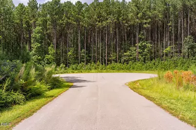 586 Anneliis Lane, Siler City, NC 27344 - Photo 3