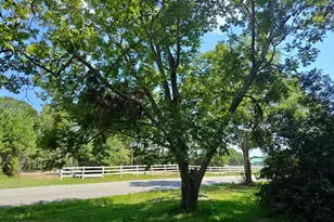 150 Clay Hill Rd, Sneads Ferry, NC 28460 - Photo 1