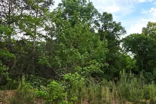 6530 Treetop Ct, Snow Camp, NC 27349 - Photo 1