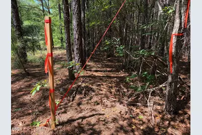 Lot 3 Haw Branch Road, Goldston, NC 27252 - Photo 21