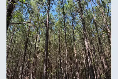 Lot 3 Haw Branch Road, Goldston, NC 27252 - Photo 19