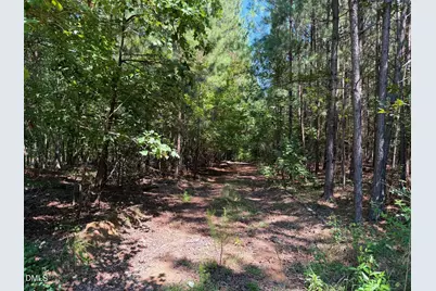 Lot 3 Haw Branch Road, Goldston, NC 27252 - Photo 23