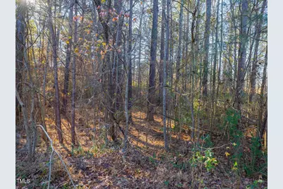 130 Bur Oak Court, Pittsboro, NC 27312 - Photo 69