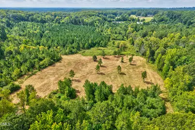 0 D Hart Road, Siler City, NC 27344 - Photo 1