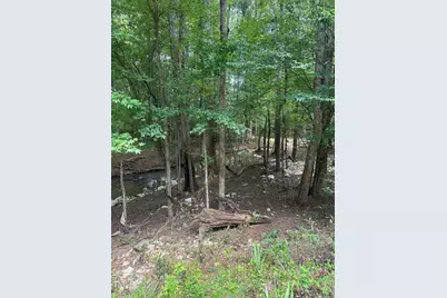Lot 1 Schley Road, Hillsborough, NC 27278 - Photo 3