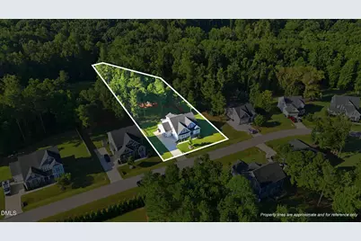 209 Old Ballentine Way, Holly Springs, NC 27540 - Photo 9