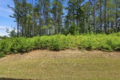 210 New Villas Street, Angier, NC 27501 - Photo 27