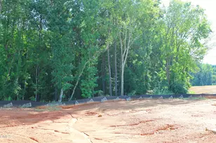 183 S Waterstone Ln, Clayton, NC 27520 - Photo 37