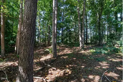 85 Wilders Crossing Drive, Louisburg, NC 27549 - Photo 27