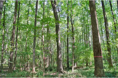 010 Rock Mill Road, Henderson, NC 27537 - Photo 15