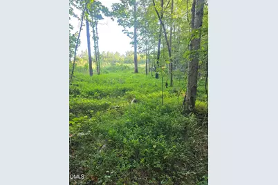 4955 Dailey Store Road, Burlington, NC 27217 - Photo 13