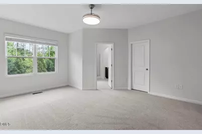 165 Durants Neck Lane, Morrisville, NC 27560 - Photo 19