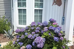 5203 Windward Way, Southport, NC 28461 - Photo 11