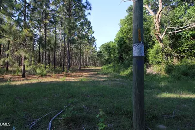 0 Johnson Pond Road, Red Springs, NC 28377 - Photo 21