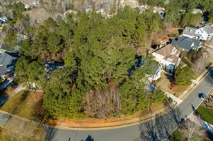 12 Cabin Creek Creek, Pittsboro, NC 27312 - Photo 3