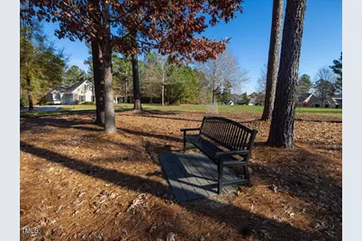 12 Cabin Creek Creek, Pittsboro, NC 27312 - Photo 31
