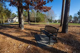 12 Cabin Creek Creek, Pittsboro, NC 27312 - Photo 31