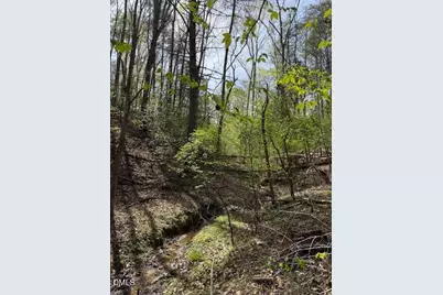 00 Seven Island (Tr 3) Road, Danbury, NC 27016 - Photo 7