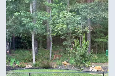 567 Dabney Woods Lane, Henderson, NC 27537 - Photo 25