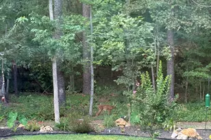 567 Dabney Woods Ln, Henderson, NC 27537 - Photo 25