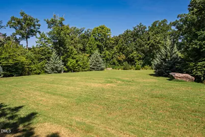 256 Ellsworth Manor Drive, Hillsborough, NC 27278 - Photo 47