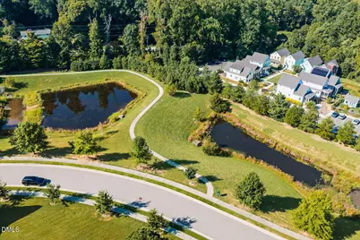 256 Ellsworth Manor Drive, Hillsborough, NC 27278 - Photo 43