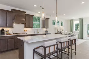 852 Dragonfly Pond Wy, Wake Forest, NC 27587 - Photo 9