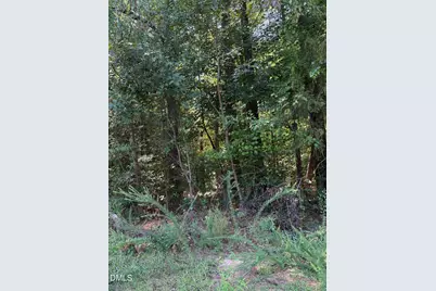 0 Williams Farm Road, Sanford, NC 27332 - Photo 3