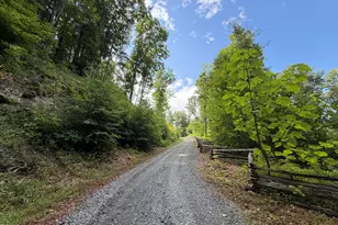 295 Presnell School Rd, Banner Elk, NC 28604 - Photo 27