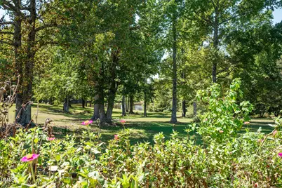 285 Wheeler Drive, Angier, NC 27501 - Photo 47