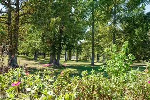 285 Wheeler Dr, Angier, NC 27501 - Photo 47