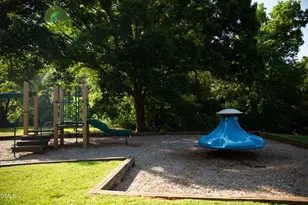 130 S Camellia St, Chapel Hill, NC 27516 - Photo 55