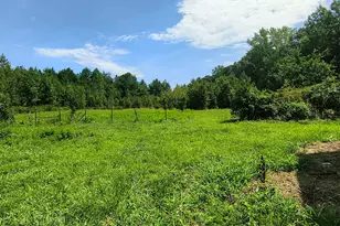 81 Mt Harmony Church Rd, Timberlake, NC 27583 - Photo 5