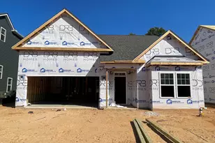 848 Old Station Pointe, Angier, NC 27501 - Photo 3