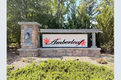 2902 Ledgestone Drive, Creedmoor, NC 27522 - Photo 33
