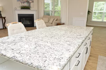 1409 Santa Cruz Street, Wake Forest, NC 27587 - Photo 13