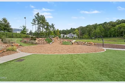 261 Mindees Lane, Pittsboro, NC 27312 - Photo 33