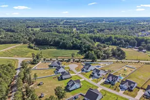 205 Morningside Ln, Angier, NC 27501 - Photo 3