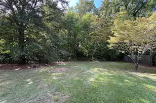 170 Scotts Creek Run, Angier, NC 27501 - Photo 5